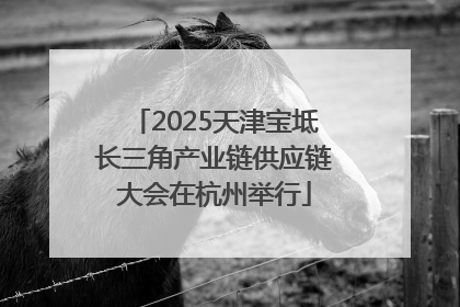 2025天津宝坻长三角产业链供应链大会在杭州举行