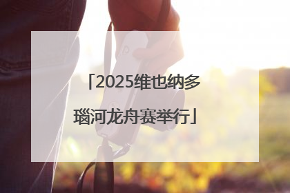 2025维也纳多瑙河龙舟赛举行