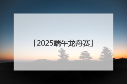 2025端午龙舟赛