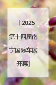 2025第十四届南宁国际车展开幕