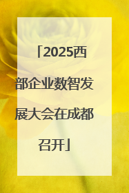 2025西部企业数智发展大会在成都召开