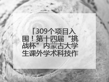 309个项目入围！第十四届“挑战杯”内蒙古大学生课外学术科技作品竞赛收官