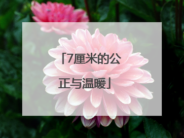 7厘米的公正与温暖