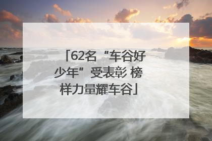 62名“车谷好少年”受表彰 榜样力量耀车谷