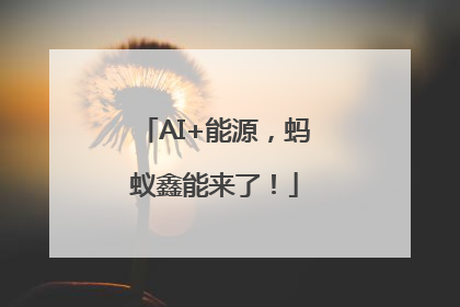 AI+能源，蚂蚁鑫能来了！