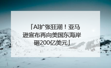 AI扩张狂潮！亚马逊宣布再向美国东海岸砸200亿美元