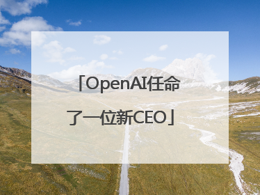 OpenAI任命了一位新CEO