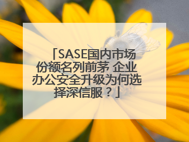 SASE国内市场份额名列前茅 企业办公安全升级为何选择深信服？