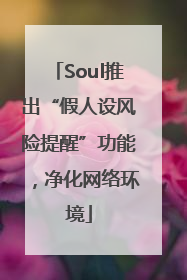 Soul推出“假人设风险提醒”功能，净化网络环境