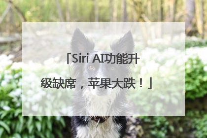 Siri AI功能升级缺席，苹果大跌！